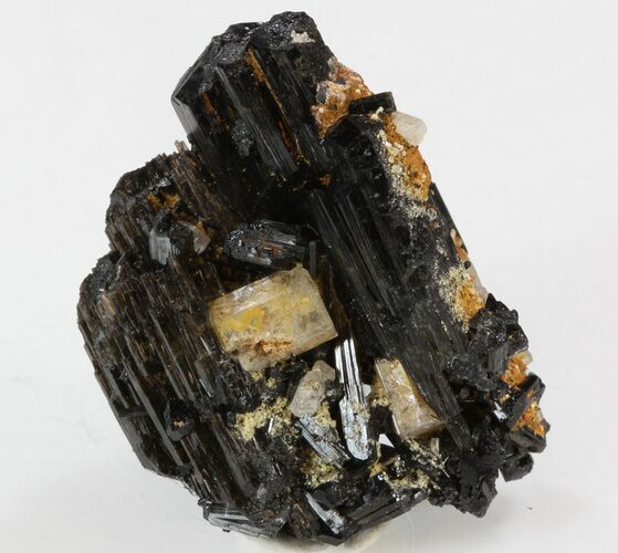 Goshenite on Schorl - Erongo Mountains #31882